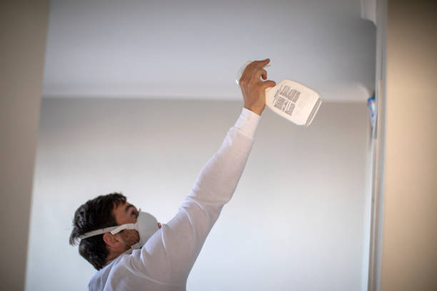 Mold Removal Process in Lake Orion, MI