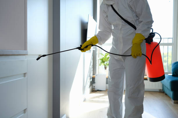 Best Mold Testing  in Lake Orion, MI